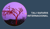 TALI SAFARIS INTERNACIONAL